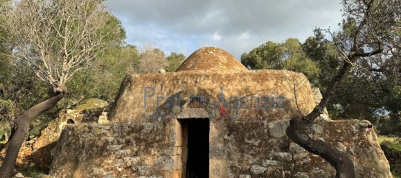 Studio in Carovigno, Italy, Nr. 115119 5