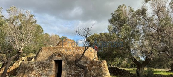 Studio in Carovigno, Italy, Nr. 115119 2