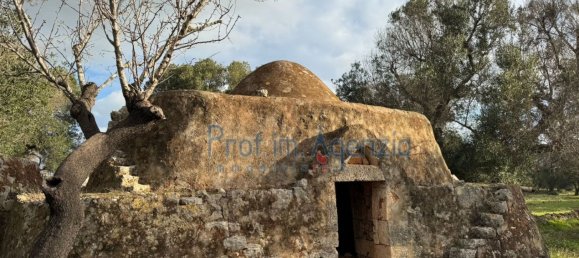 Studio in Carovigno, Italy, Nr. 115119 3