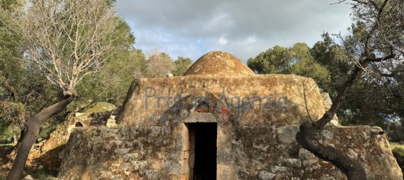 Studio in Carovigno, Italy, Nr. 115119 9