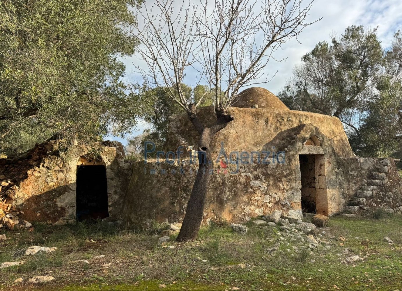 Studio in Carovigno, Italy, Nr. 115119