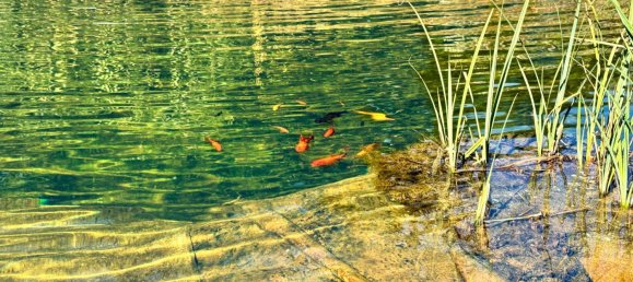 4-salle Maison à Durnkrut, Austria No. 156881 6