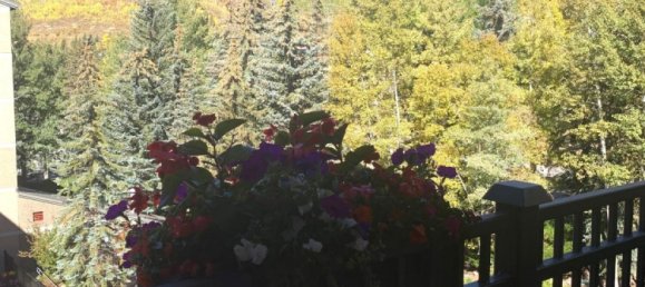 4 غرف نوم مقهى / مطعم في Vail, USA رقم 66 14