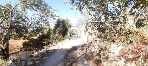 2722m² Land in Sao Bras de Alportel, Portugal No. 57629 3