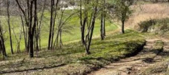  Land in Monte di Malo, Italy No. 376682 4