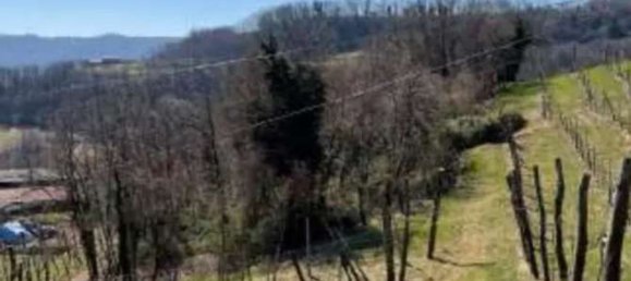  Land in Monte di Malo, Italy No. 376682 3