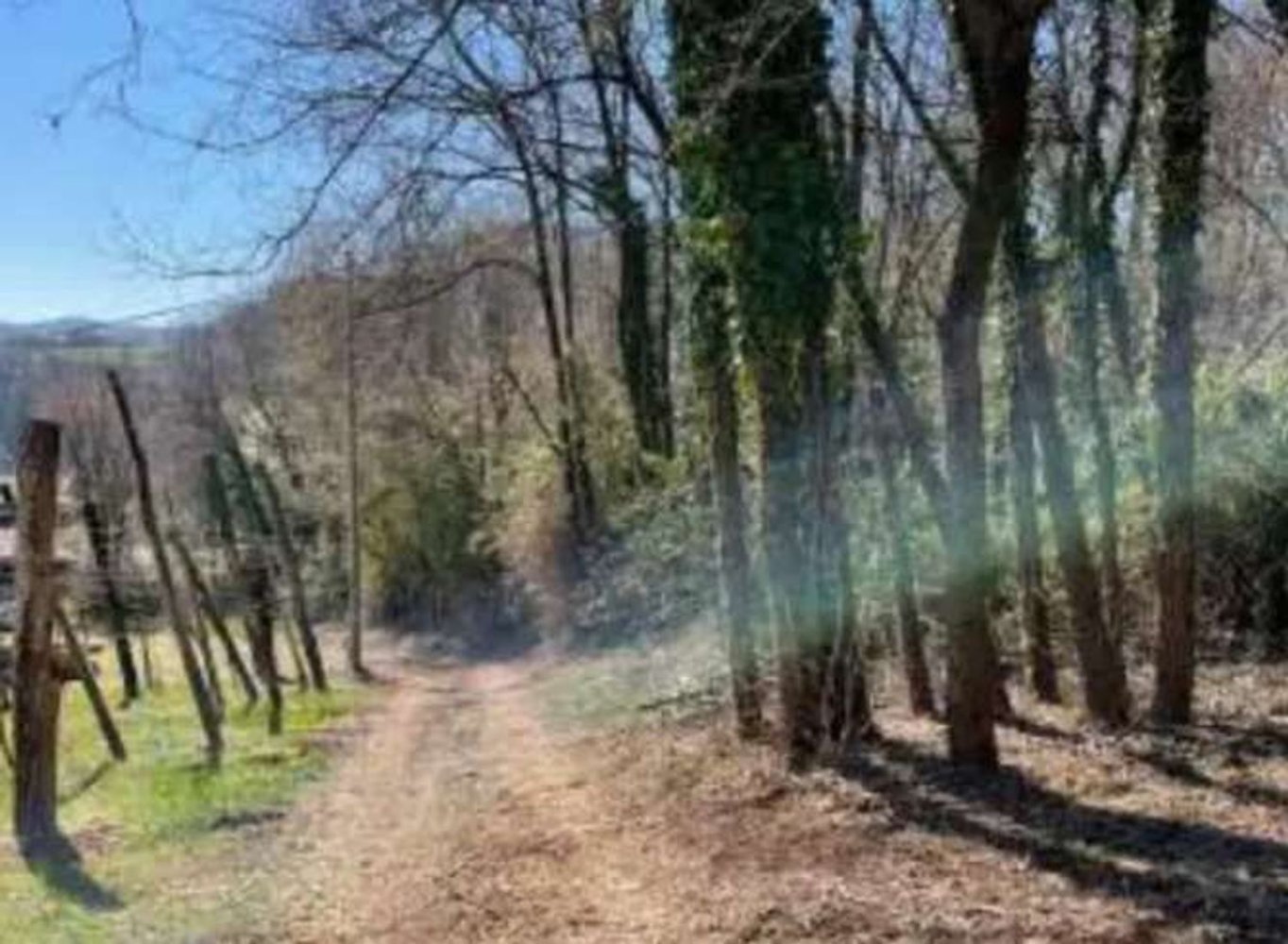  Land in Monte di Malo, Italy No. 376682