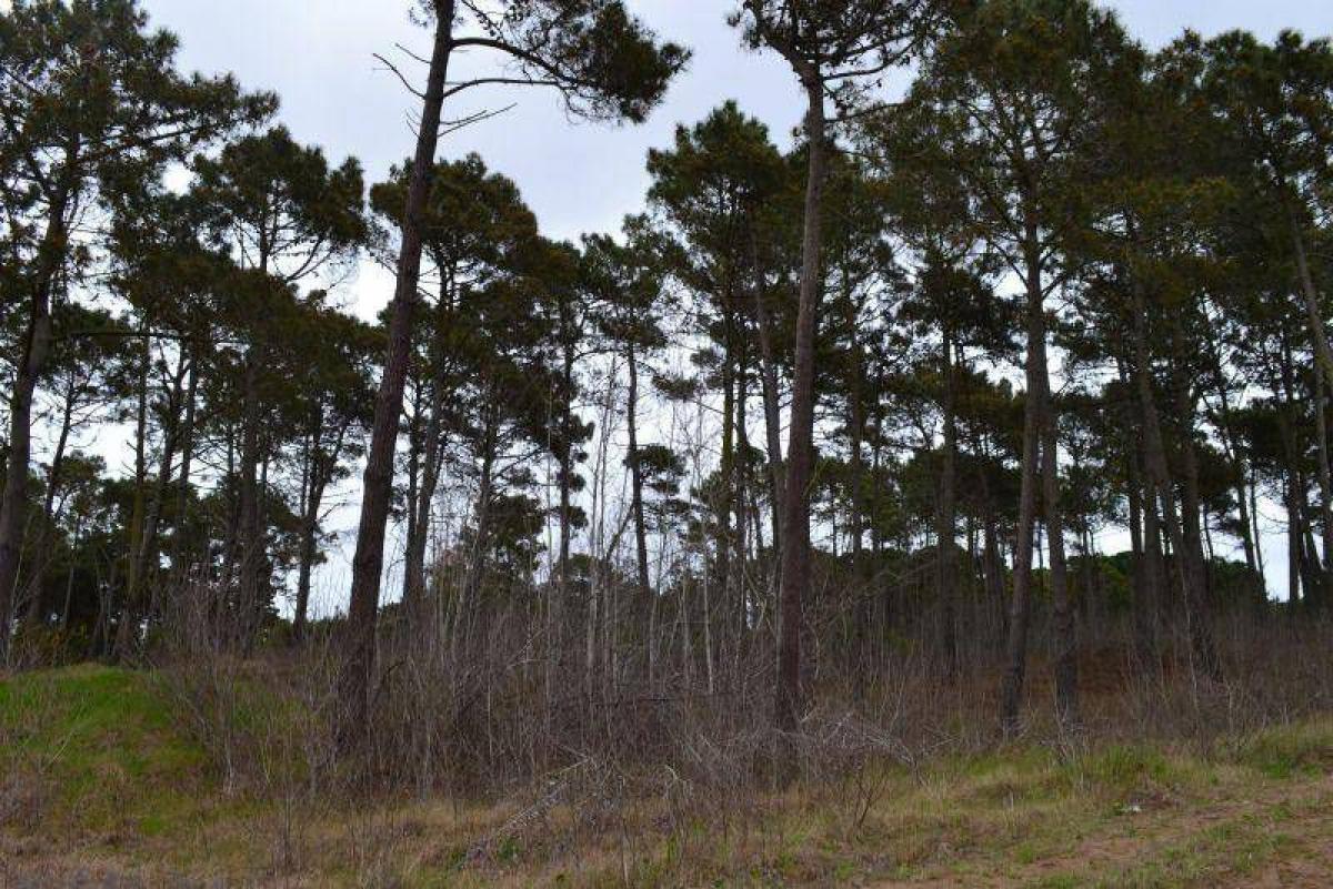  Land in Mar del Plata, Argentina No. 113445