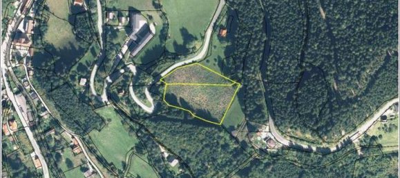  قطعة أرض في Huttenberg, Austria 11059متر مربع رقم 154908 4