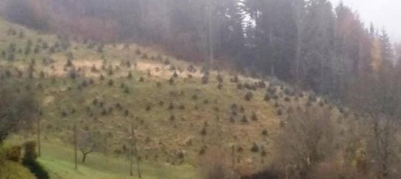  قطعة أرض في Huttenberg, Austria 11059متر مربع رقم 154908 3