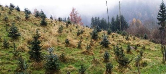  قطعة أرض في Huttenberg, Austria 11059متر مربع رقم 154908 2