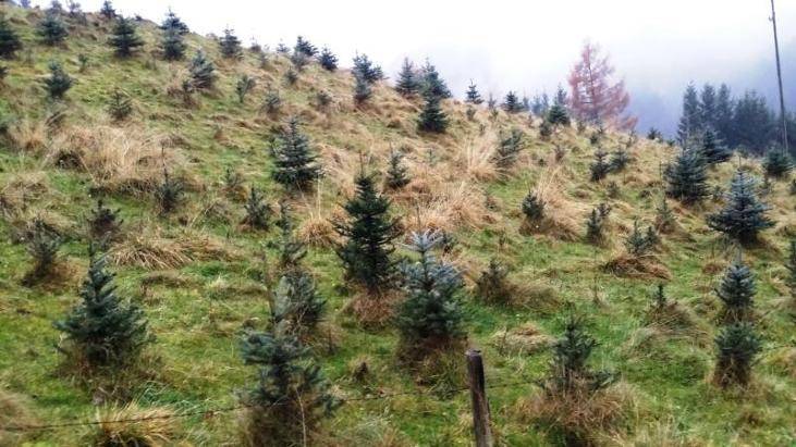  قطعة أرض في Huttenberg, Austria 11059متر مربع رقم 154908