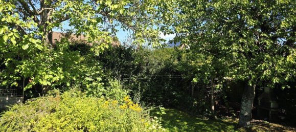 Бунгало с 5 комнатами в Золленау, Австрия № 247458 13