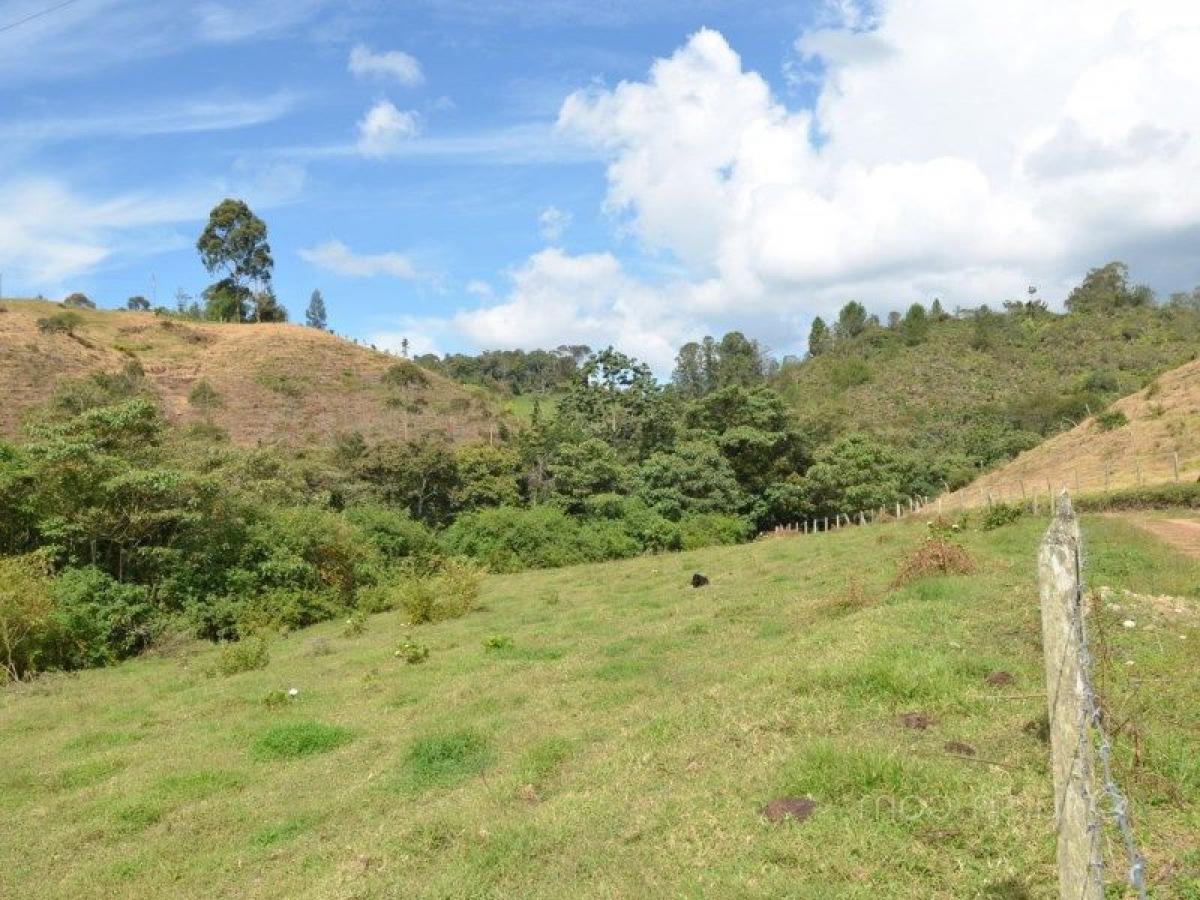  Land in Antioquia, Colombia No. 739