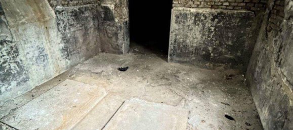 مستودع في Simmering, Austria 282متر مربع رقم 36912 11