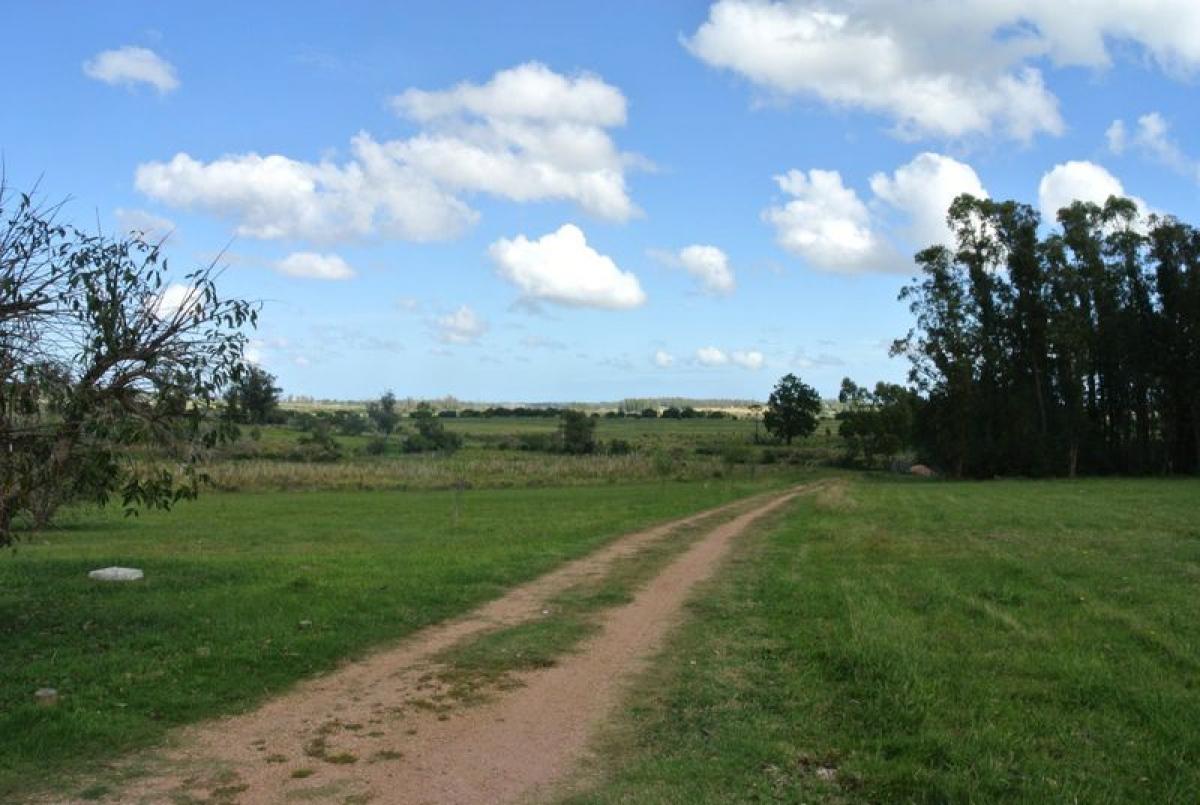Quinta em Maldonado, Uruguay 150 m² N.º 15783