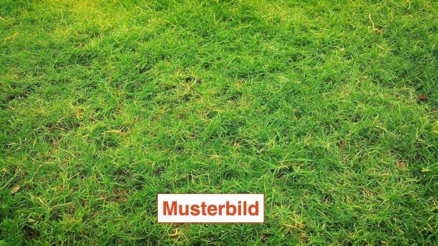  Land in Russelsheim, Germany No. 341301