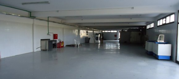 Недвижимость 1375м² в Халкидики, Центральная Македония, Македония и Фракия, Греция № 7701 3