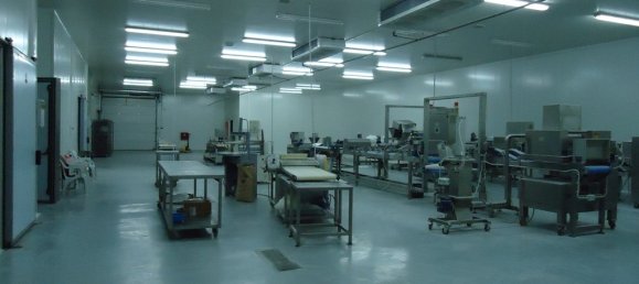 1375m² Property in Chalkidiki, Greece No. 7701 5