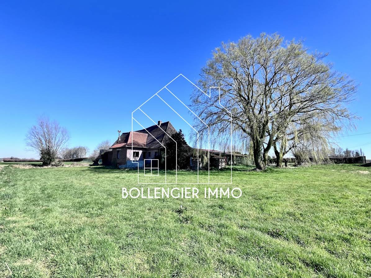 5 bedrooms House in Steenvoorde, France No. 70134