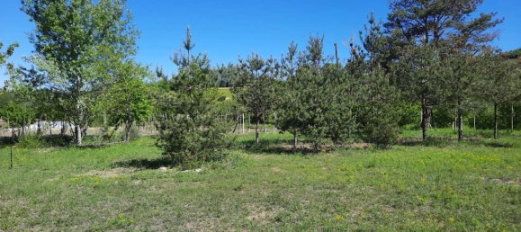 8 rooms House in Corneliano d'Alba, Italy No. 49734 10