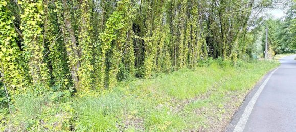 3001m² Land in Bergondo, Spain No. 41863 13