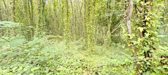 Terrain à Bergondo, Spain 3001m² No. 41863 3