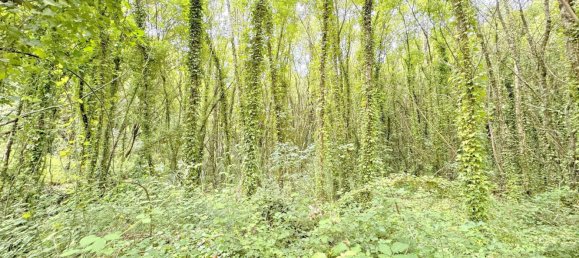 Terrain à Bergondo, Spain 3001m² No. 41863 8