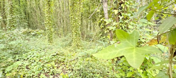 Terrain à Bergondo, Spain 3001m² No. 41863 6