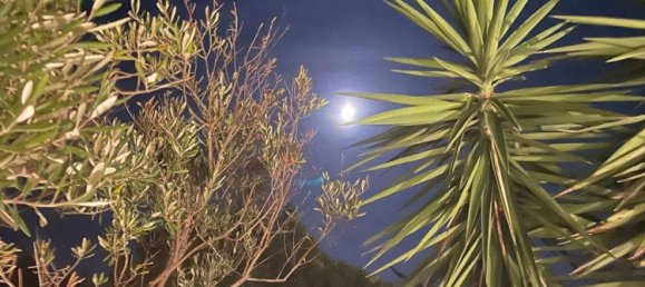 2 rooms Apartment in Salve, Italy No. 59361 13