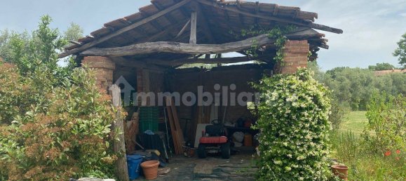 3 bedrooms House in Castiglione del Lago, Italy No. 168966 30