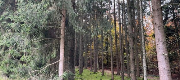 Terreno em Neuburg-Schrobenhausen, Germany N.º 250198 2