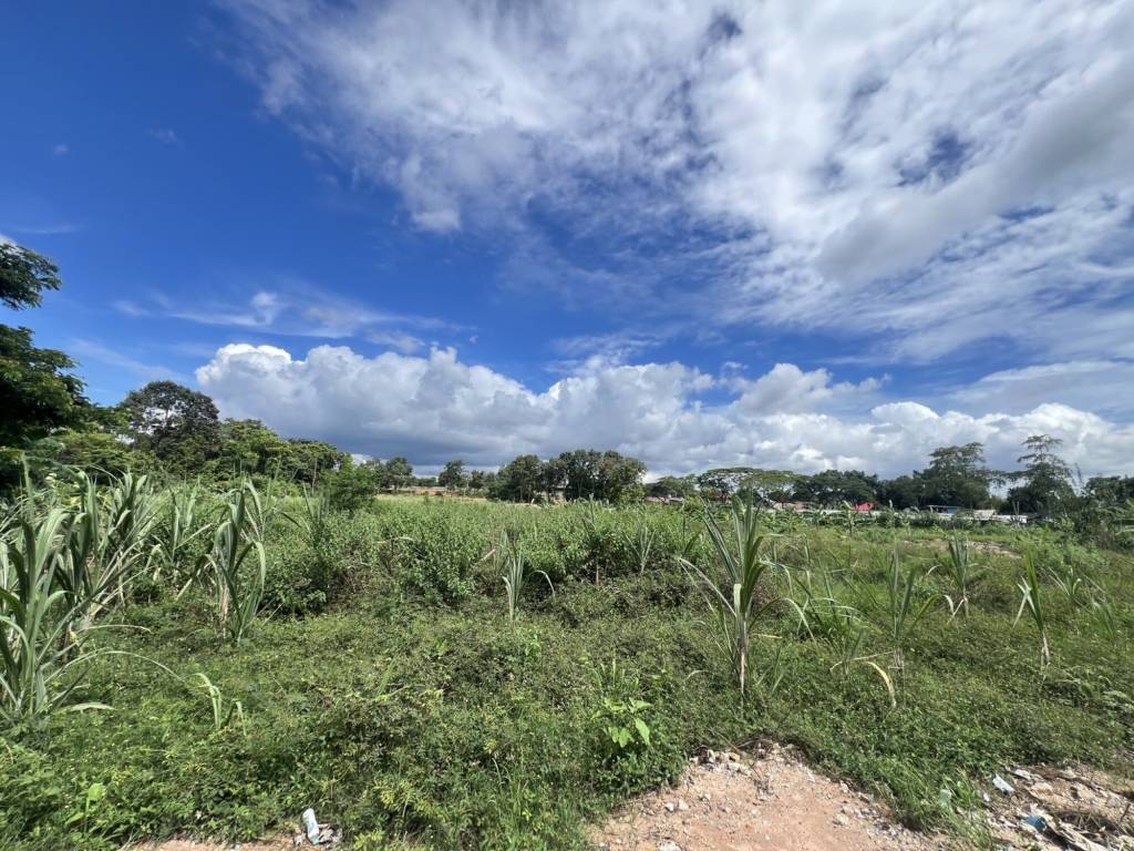 Земельный участок в Паттайя, Таиланд № 66758