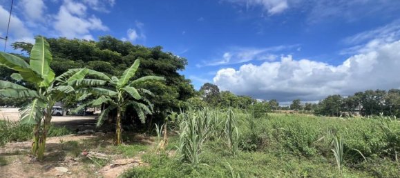 Земельный участок в Паттайя, Таиланд № 66758 4