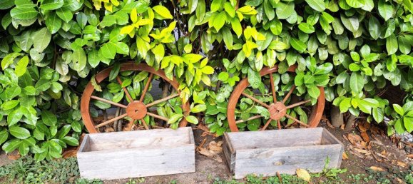 1 bedroom Land in Kronstorf, Austria No. 7953 3