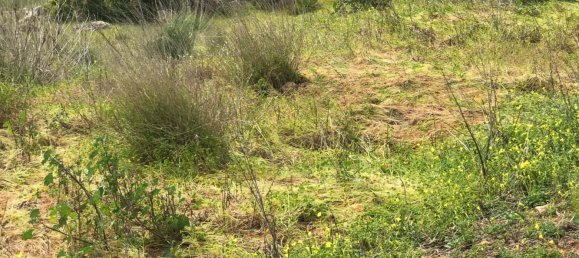 Земельный участок 420м² в Одиашере, Португалия № 150618 7