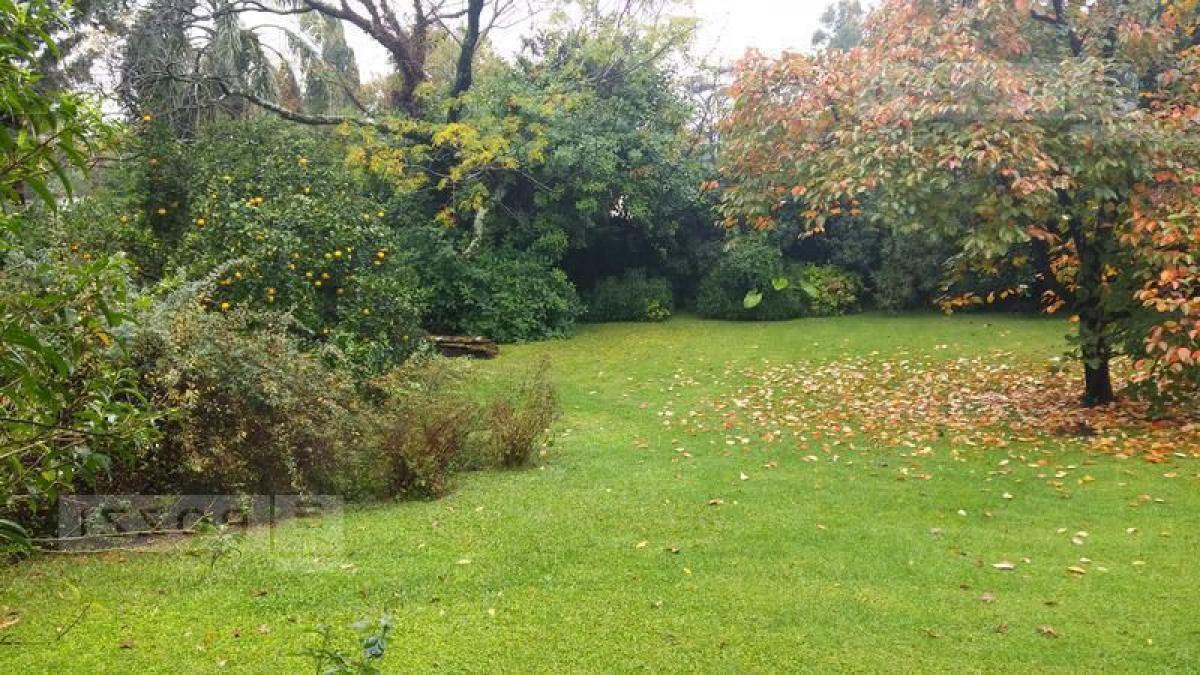  Land in Tigre, Argentina No. 38876