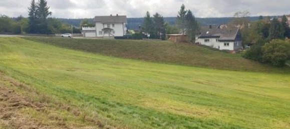 Terreno em Schwarzwald-Baar-Kreis, Germany N.º 111340 4