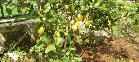 5-Zimmer Villa in Noto, Italy, Nr. 106935 37