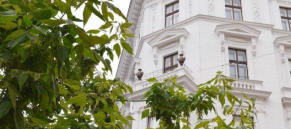 5 rooms Apartment in Vienna, Austria No. 232632 2