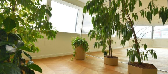 5 rooms Apartment in Vienna, Austria No. 232632 40