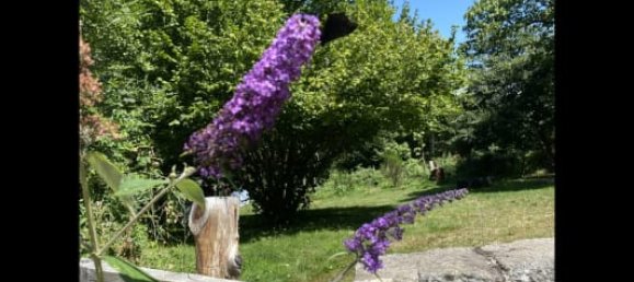 4 Schlafzimmer Gewerbliche Immobilie in Viscomtat, France, Nr. 1846 3