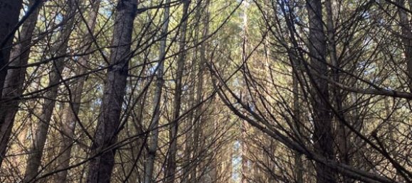 4 Schlafzimmer Gewerbliche Immobilie in Viscomtat, France, Nr. 1846 25