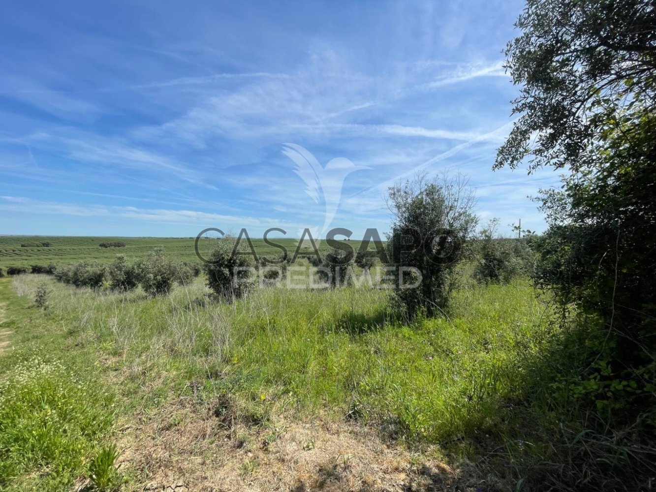  Land in Quarteira, Portugal No. 193831