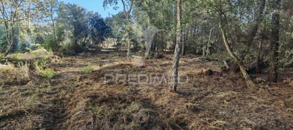 Grundstück in Minde, Portugal 3200m², Nr. 76107 21