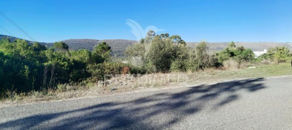 Grundstück in Minde, Portugal 3200m², Nr. 76107 5