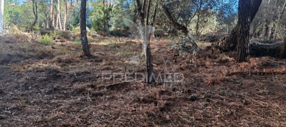 Grundstück in Minde, Portugal 3200m², Nr. 76107 22