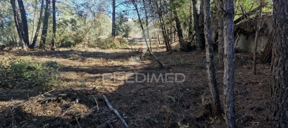 Grundstück in Minde, Portugal 3200m², Nr. 76107 10