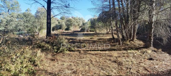 Grundstück in Minde, Portugal 3200m², Nr. 76107 11