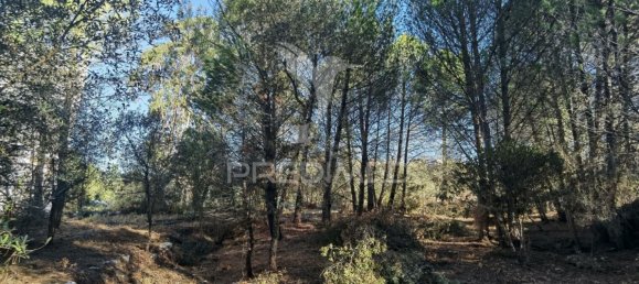 Grundstück in Minde, Portugal 3200m², Nr. 76107 9